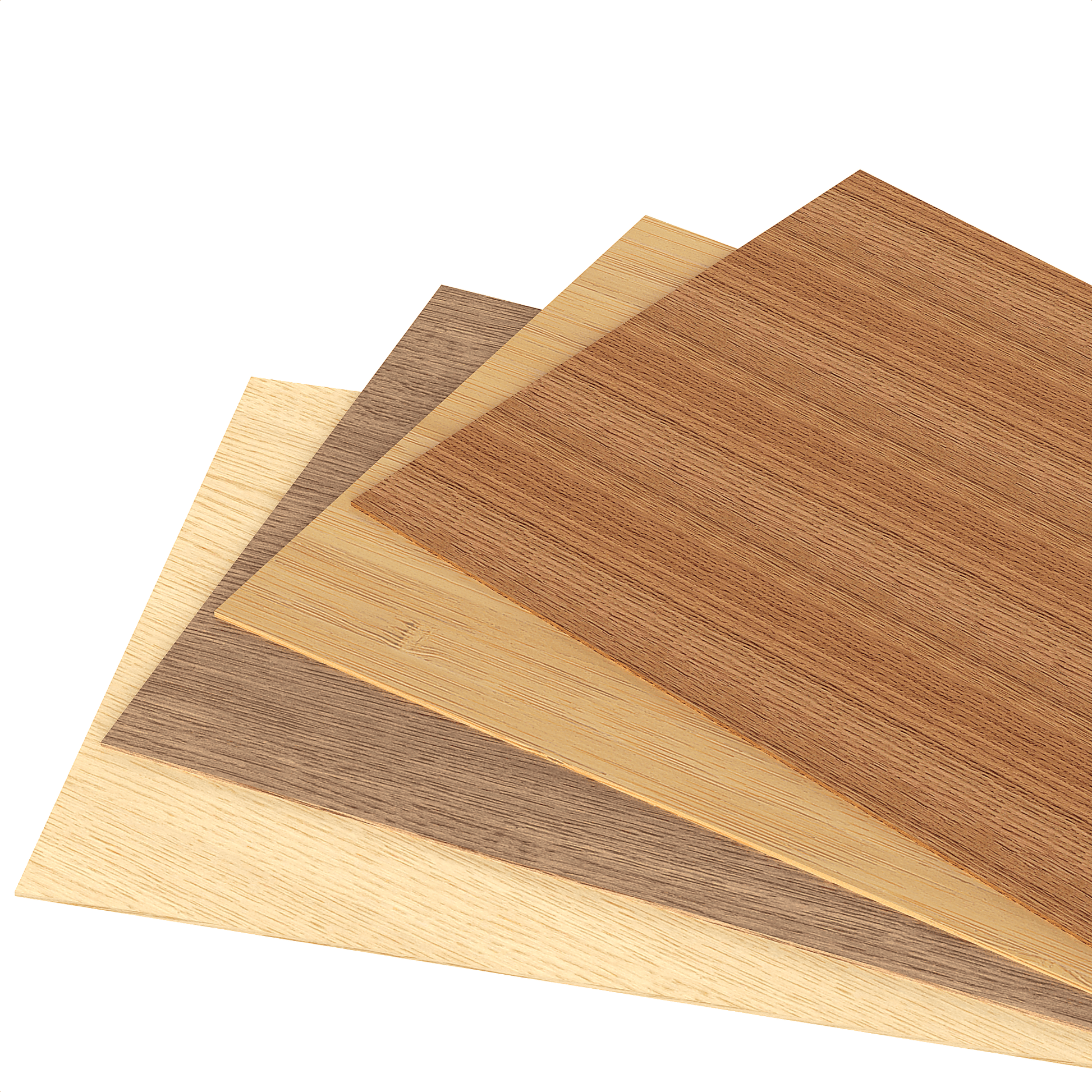 Materialfächer mit dekorativem Holzfurnier in verschiedenen Holzarten